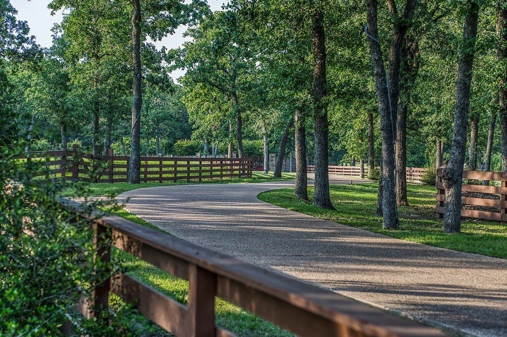 10.08 acres in Brazos County gallery image 3