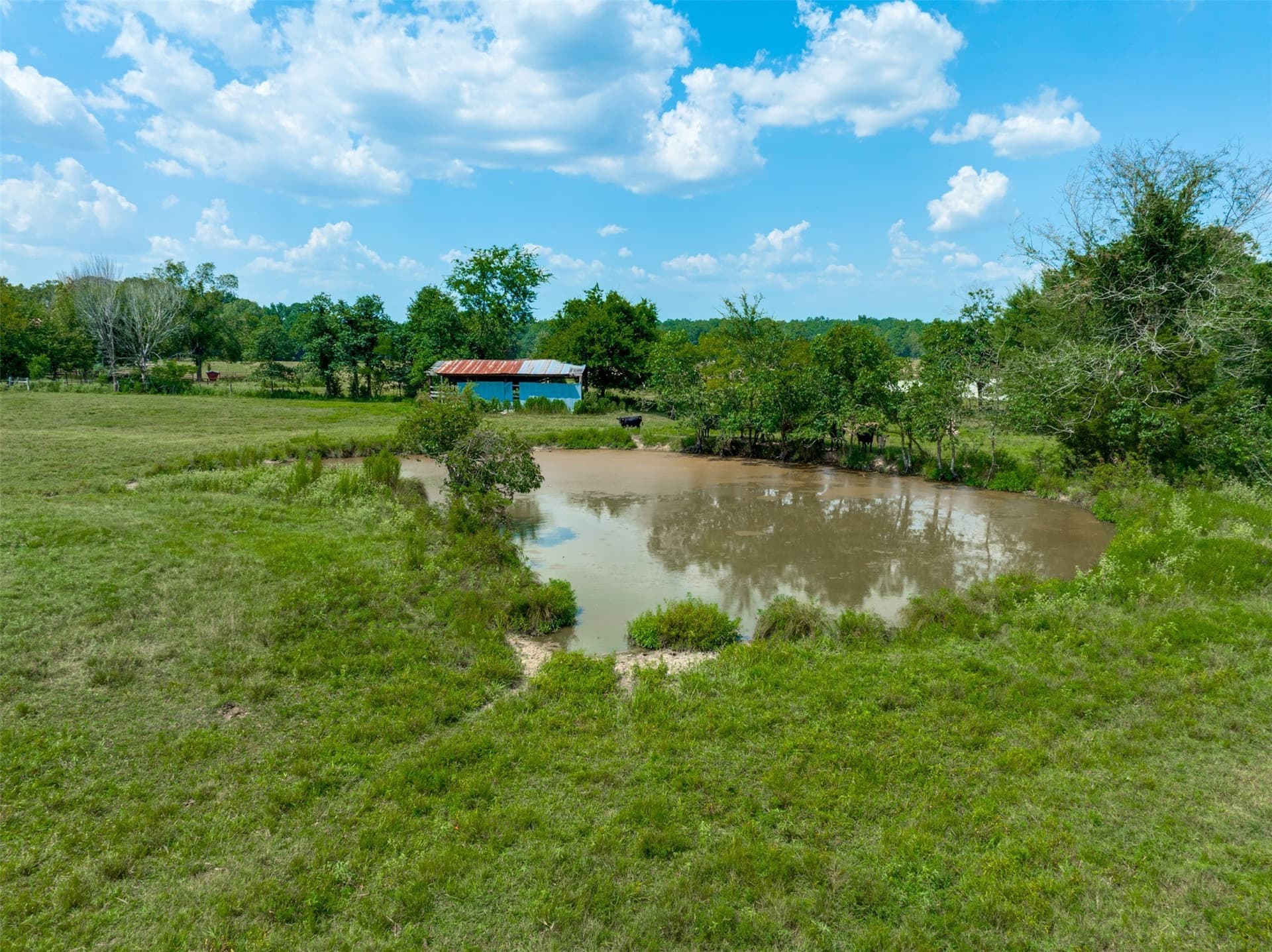 176 acres in Red River (TX) County - photo 33