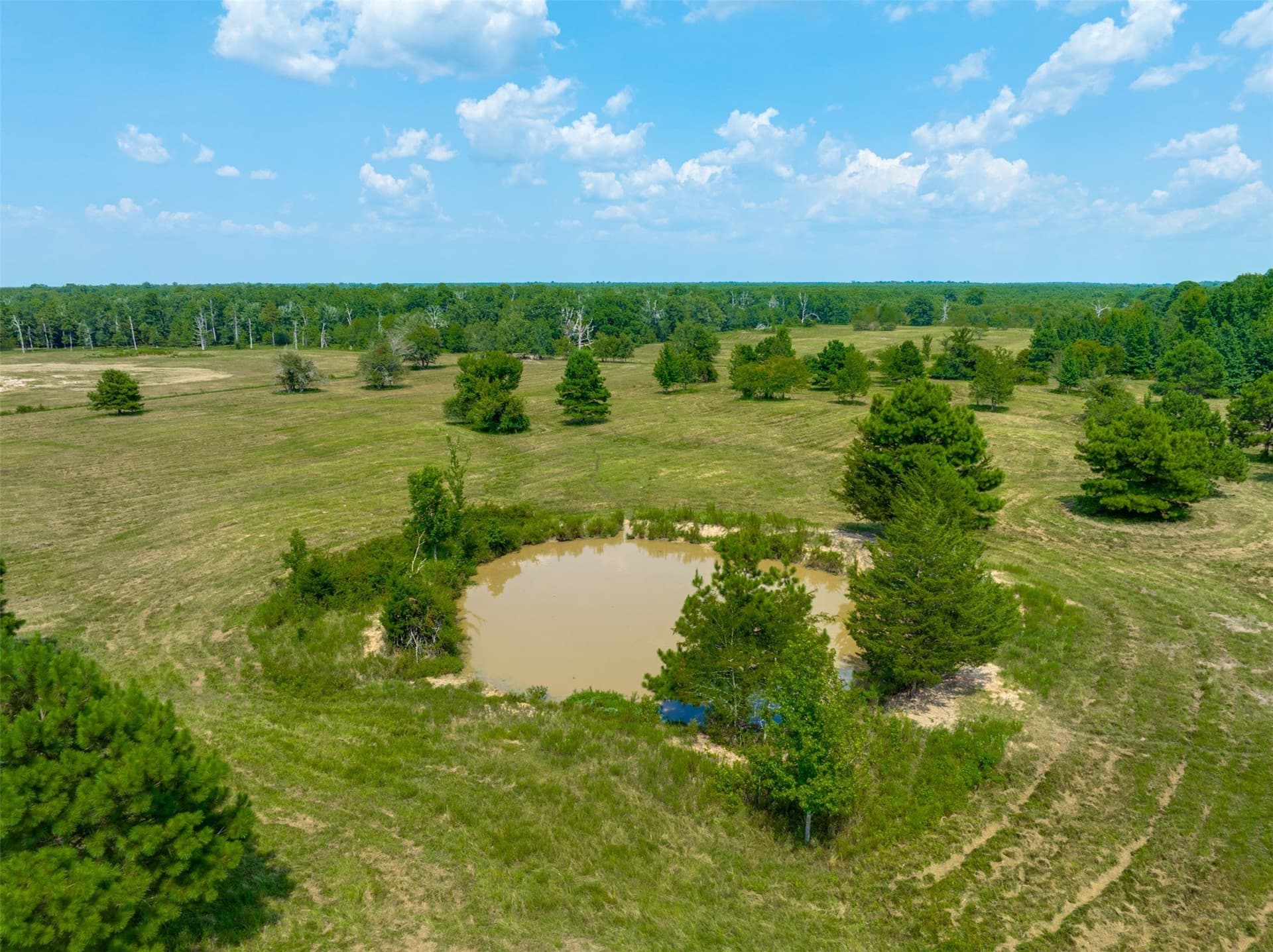 176 acres in Red River (TX) County - photo 32