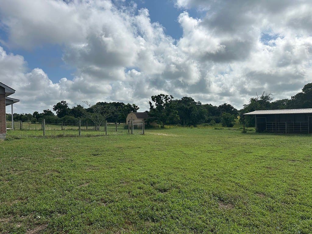 3 acres in Austin County - photo 10