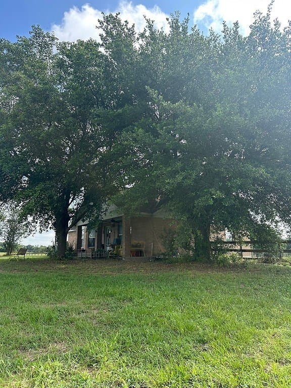 3 acres in Austin County - photo 8