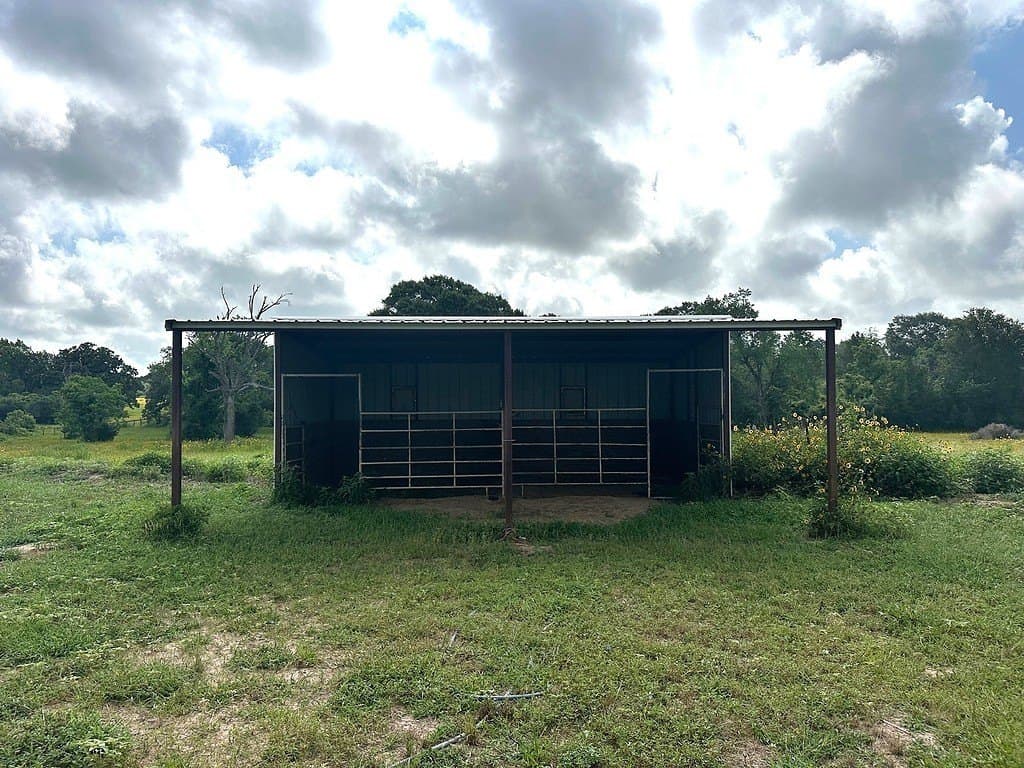 3 acres in Austin County - photo 11