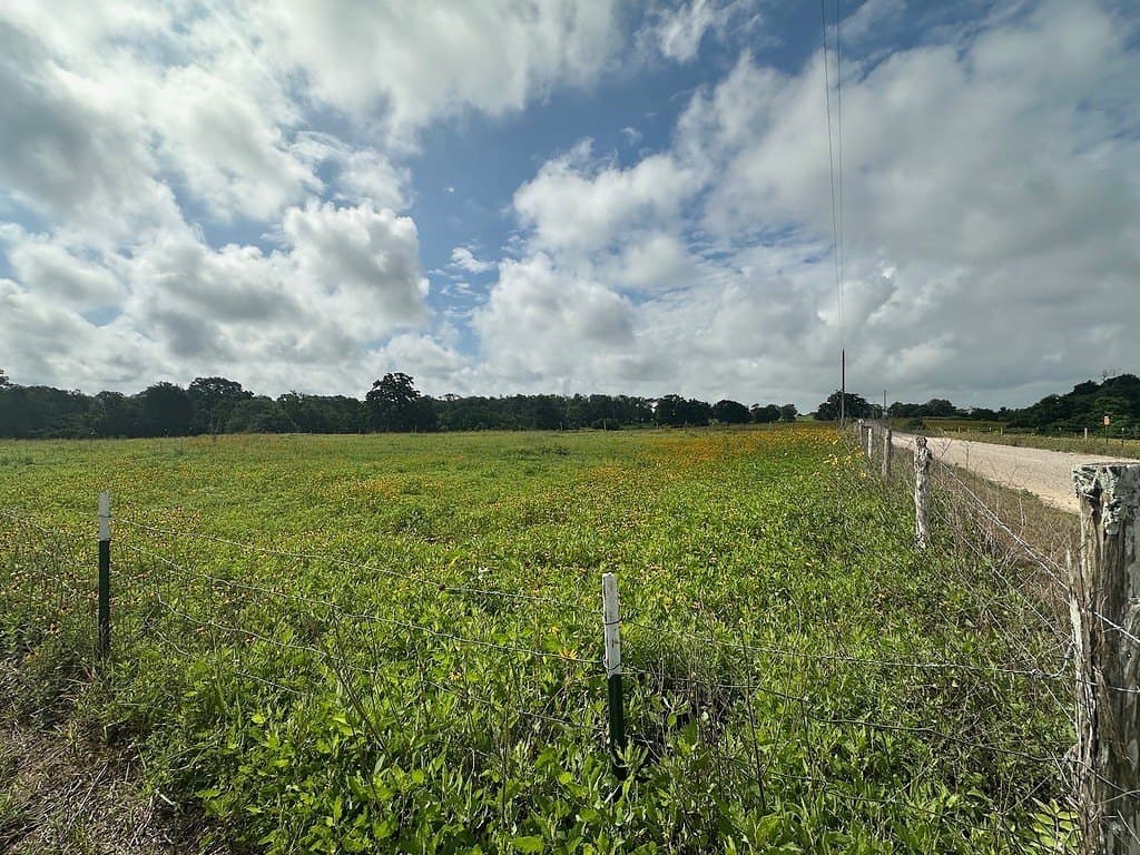 3 acres in Austin County gallery image 2