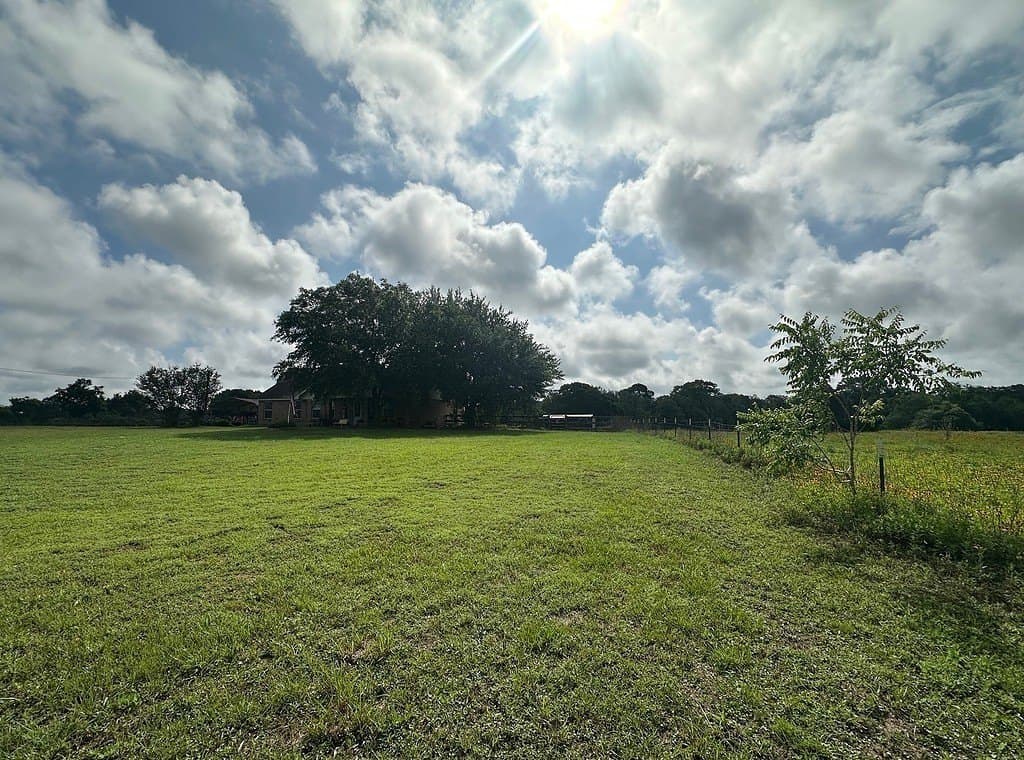 3 acres in Austin County - photo 16