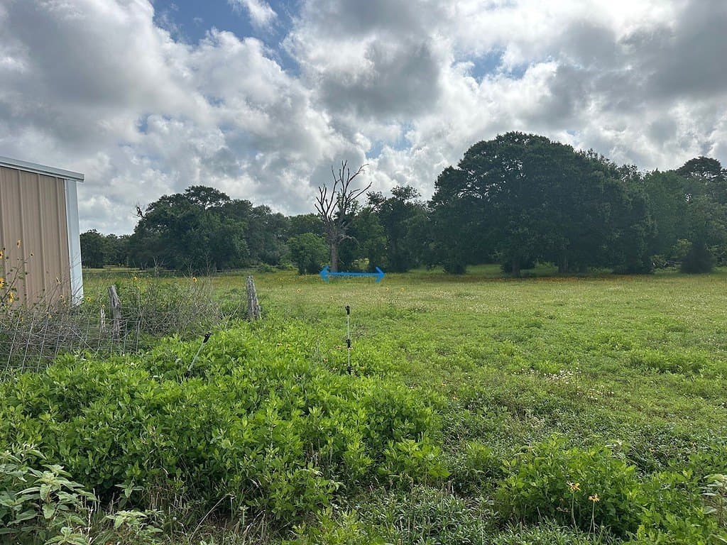 3 acres in Austin County - photo 12