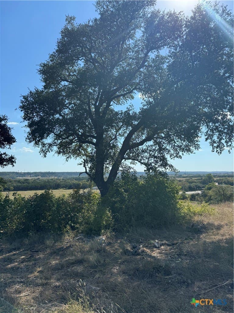 1.09 acres in Bell County gallery image 4