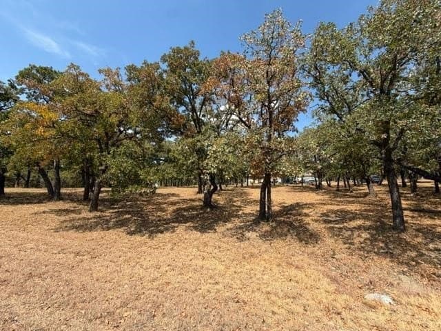 0.31 acres in Montague County