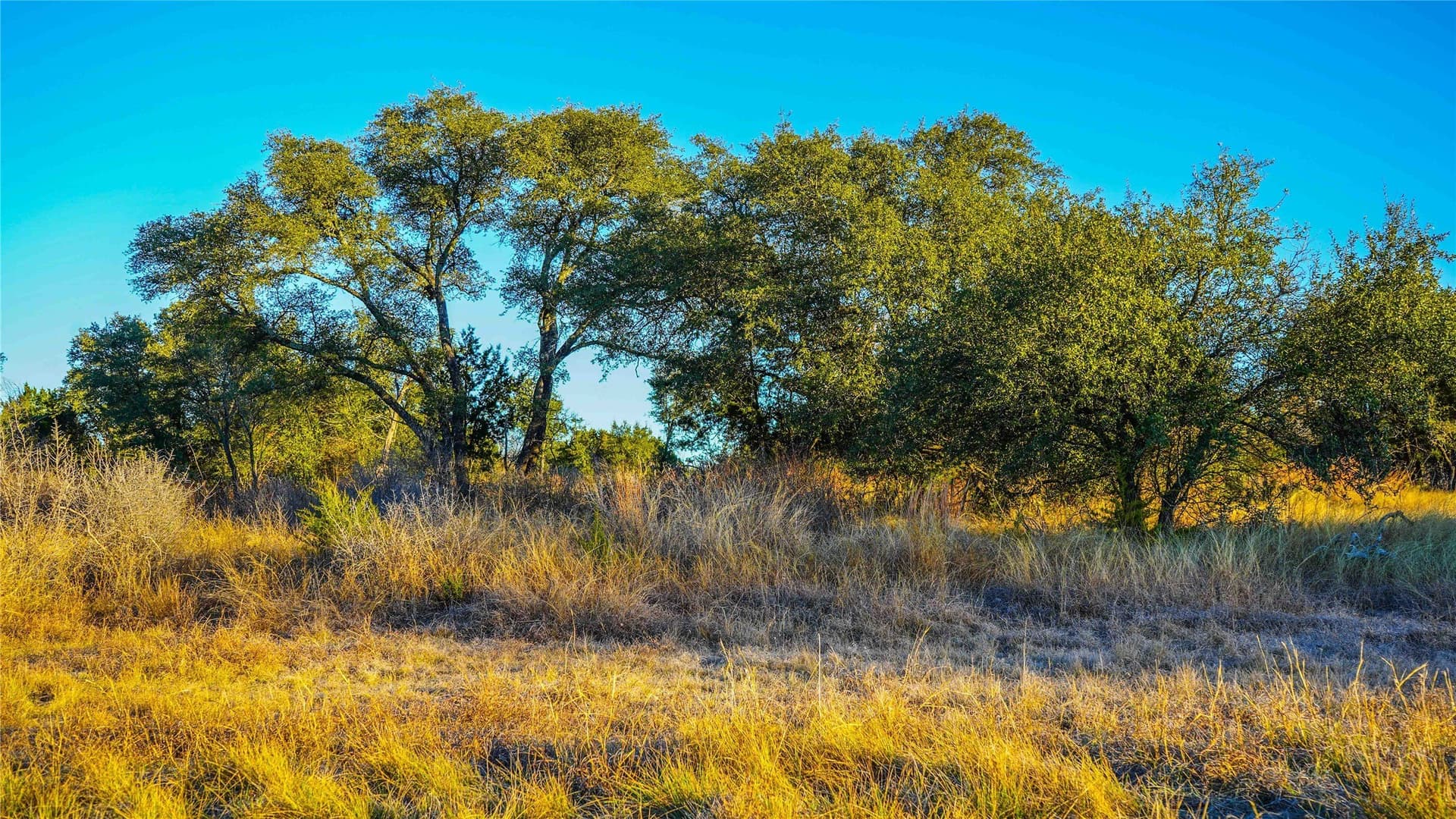 85.55 acres in Lampasas County - photo 34