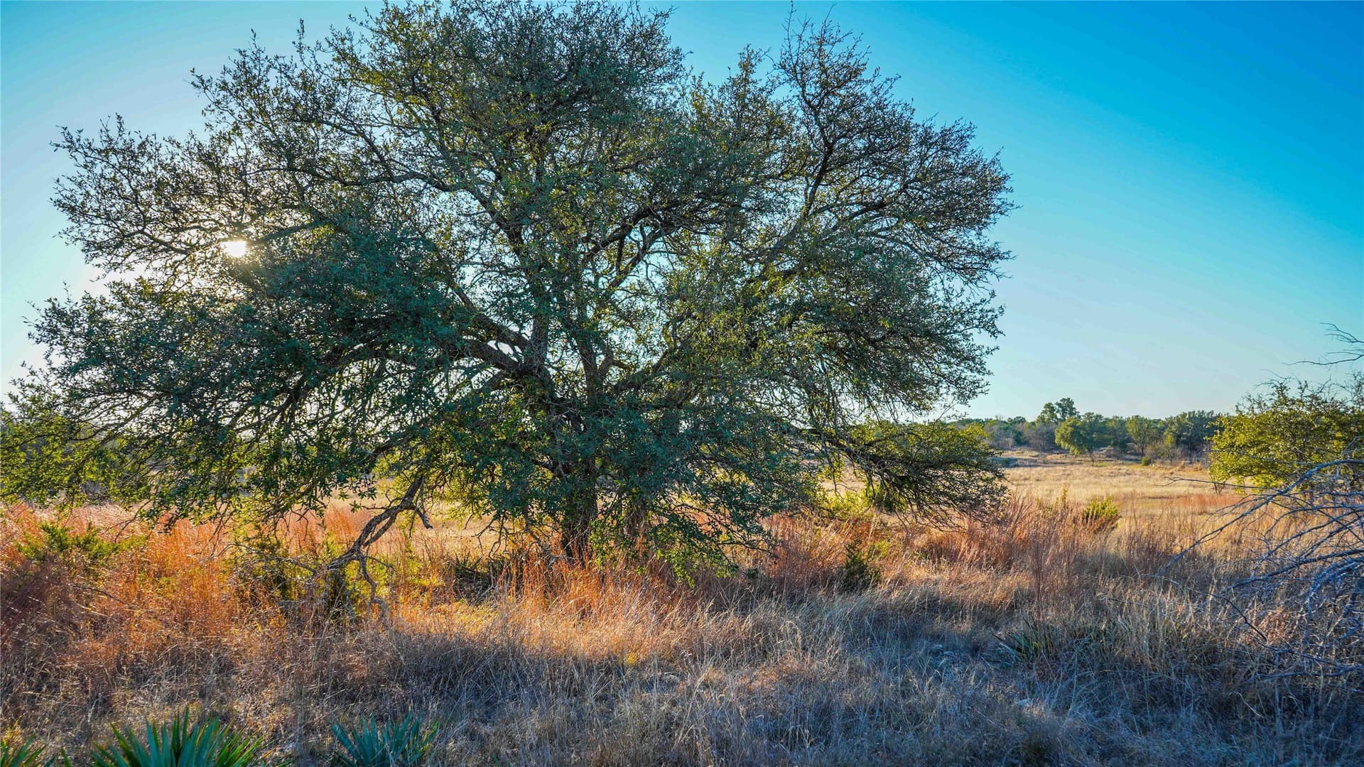 85.55 acres in Lampasas County - photo 37
