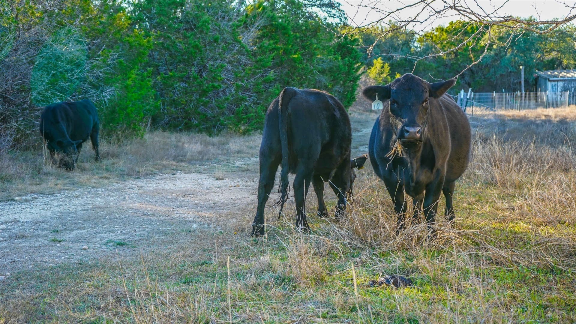 85.55 acres in Lampasas County - photo 39