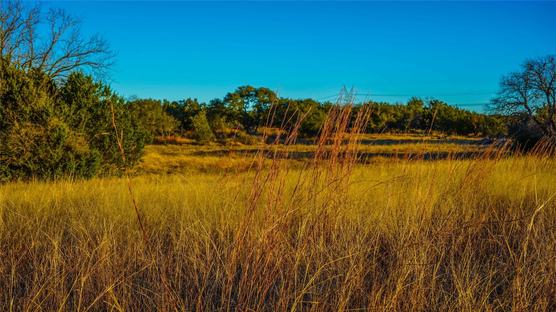 85.55 acres in Lampasas County - photo 33