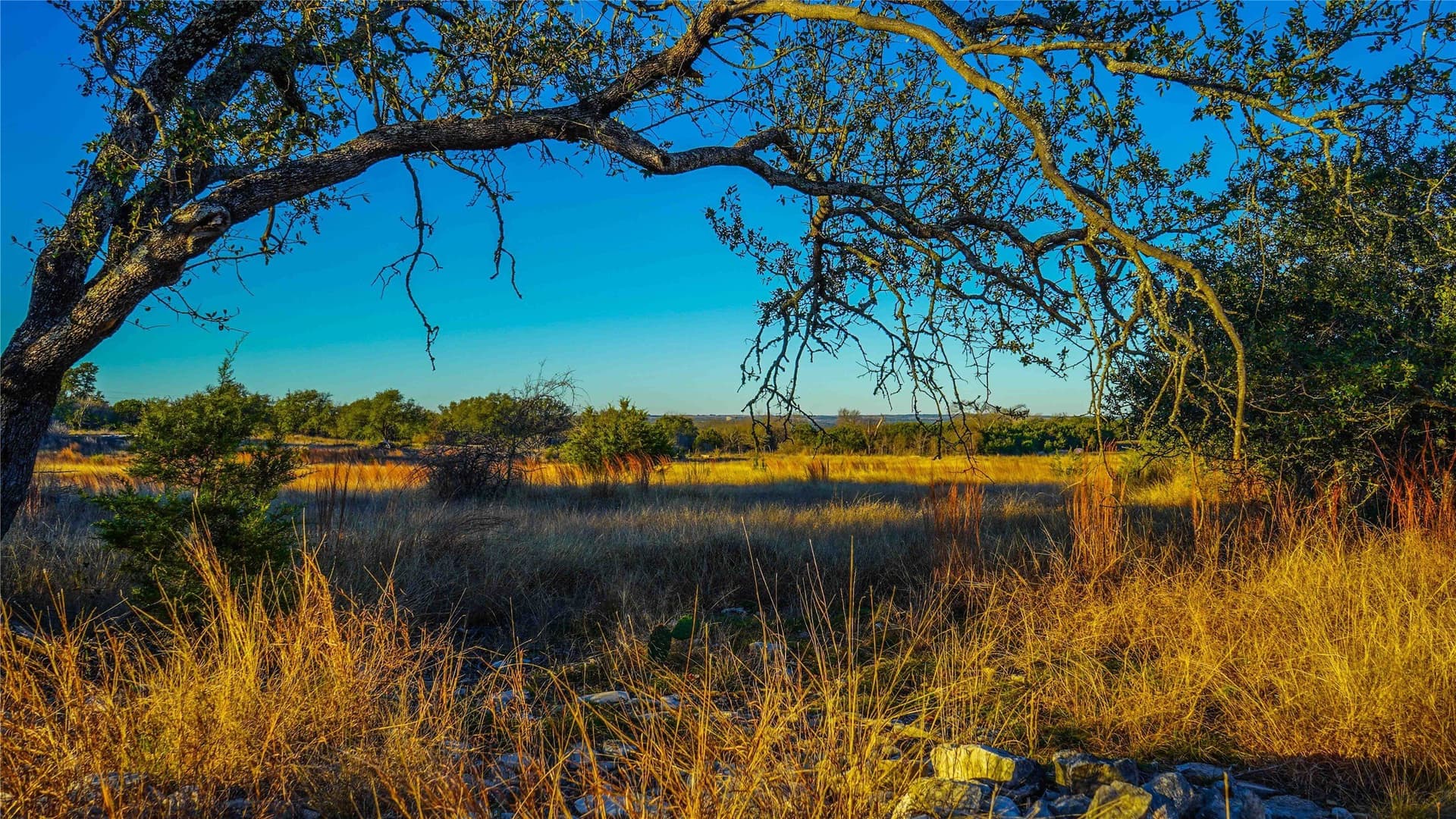 85.55 acres in Lampasas County - photo 35