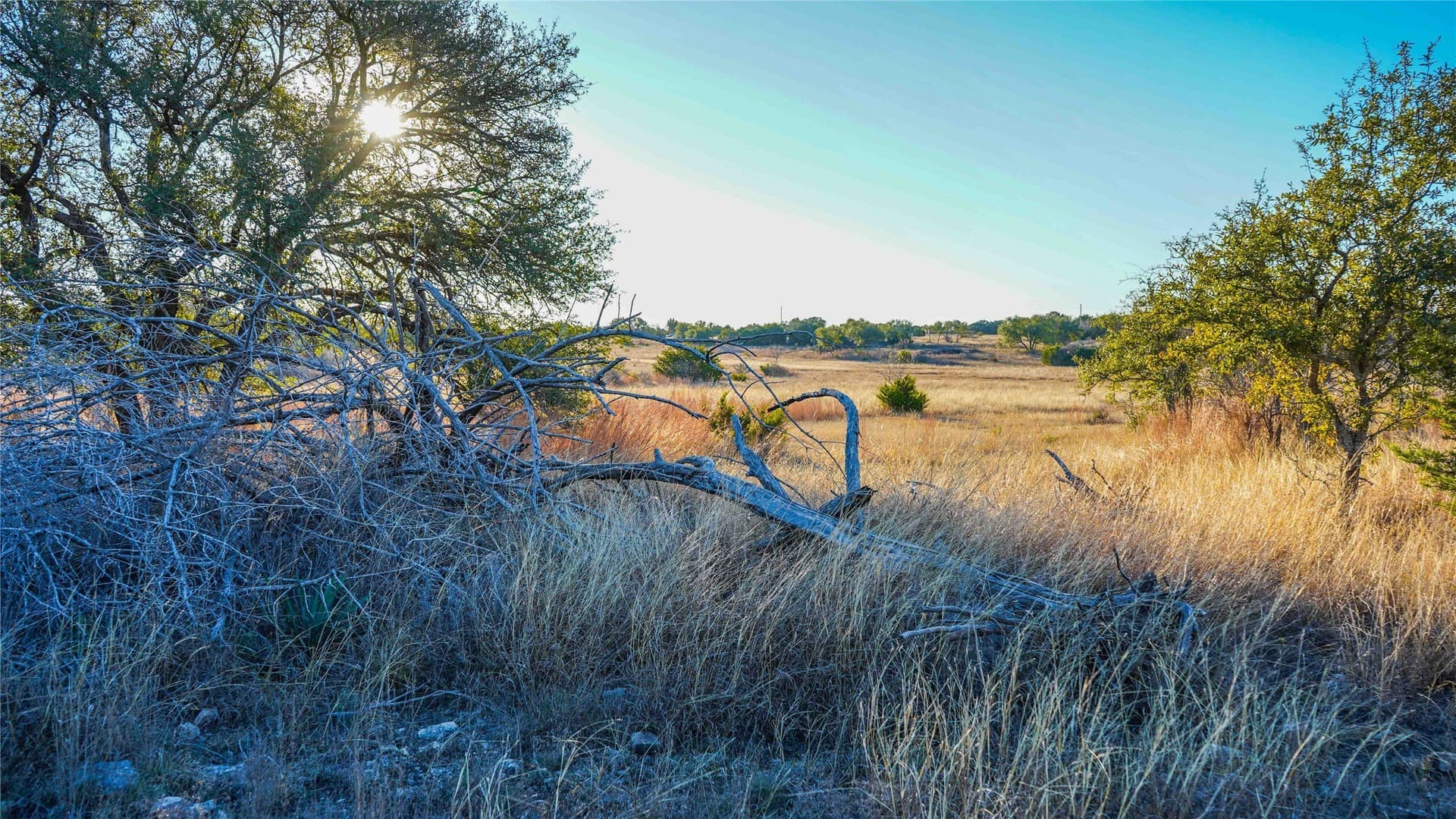 85.55 acres in Lampasas County - photo 36