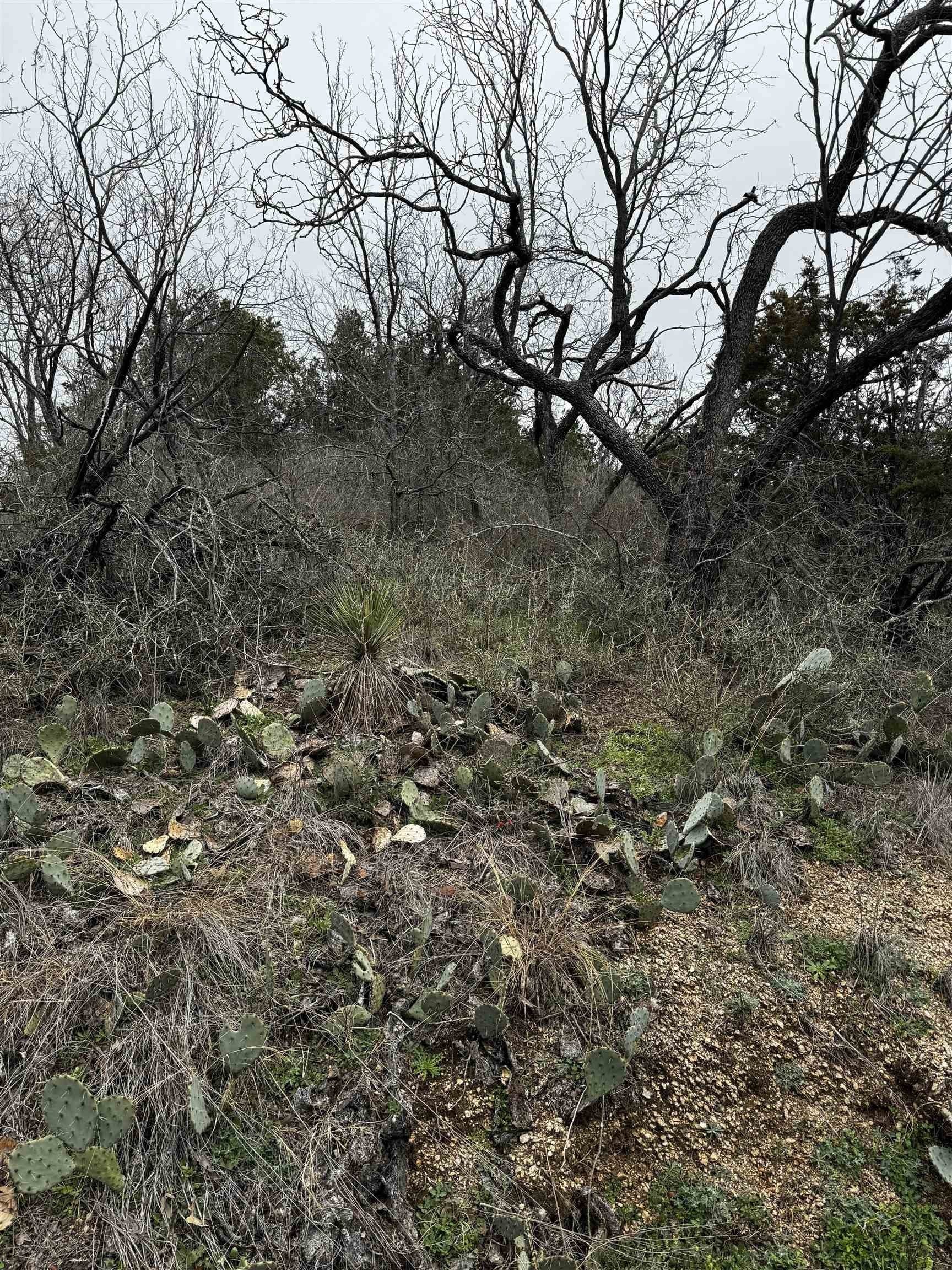 0.11 acres in Burnet County gallery image 2