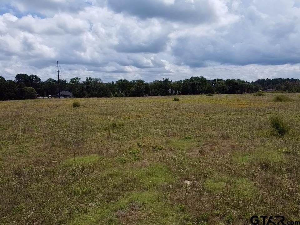 21.95 acres in Wood County gallery image 3