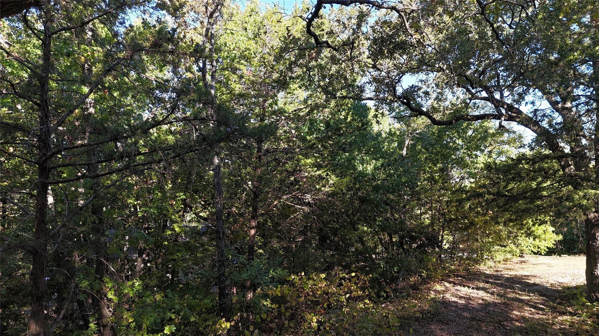 0.8 acres in Grayson County - photo 12