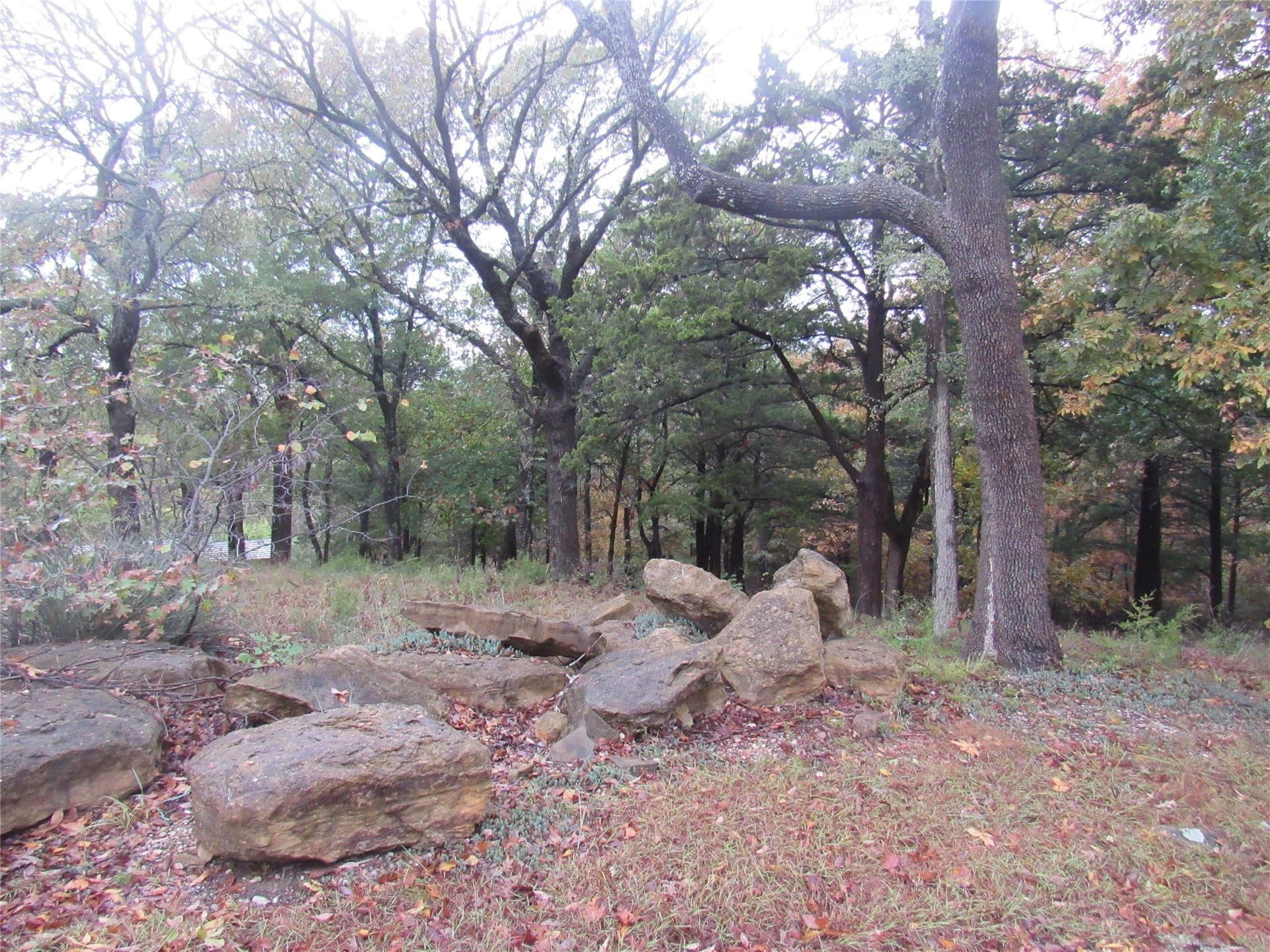 0.8 acres in Grayson County - photo 35