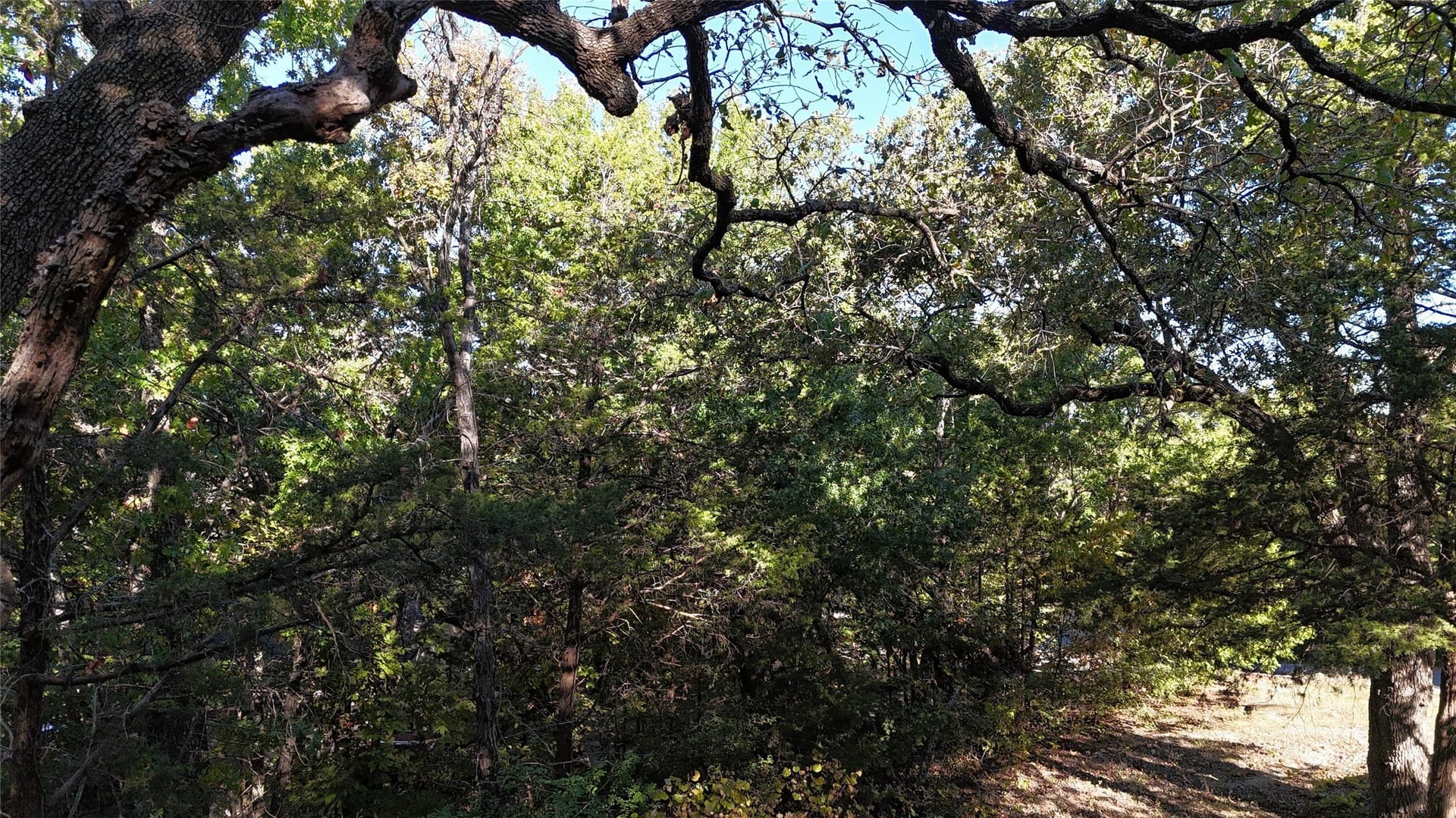 0.8 acres in Grayson County - photo 9