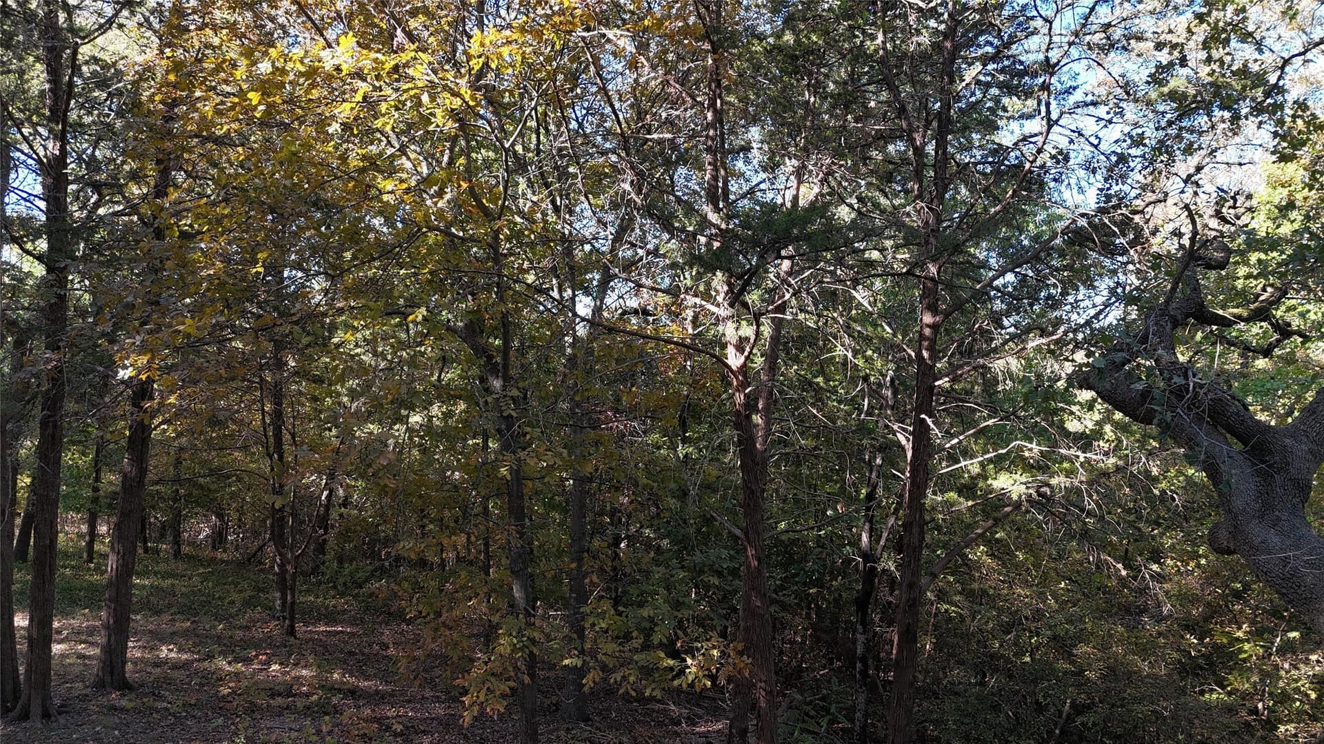 0.8 acres in Grayson County - photo 14