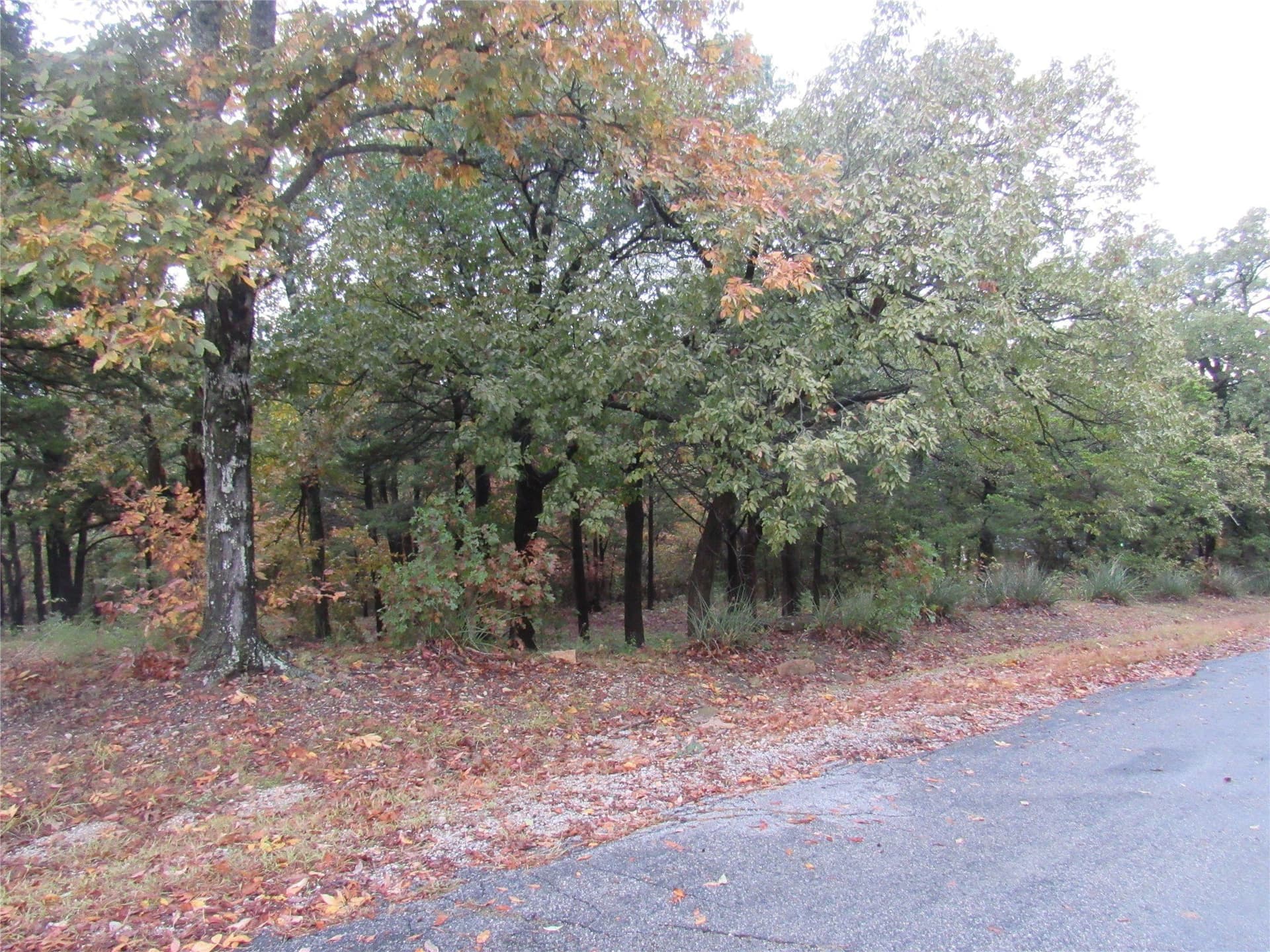 0.8 acres in Grayson County - photo 5