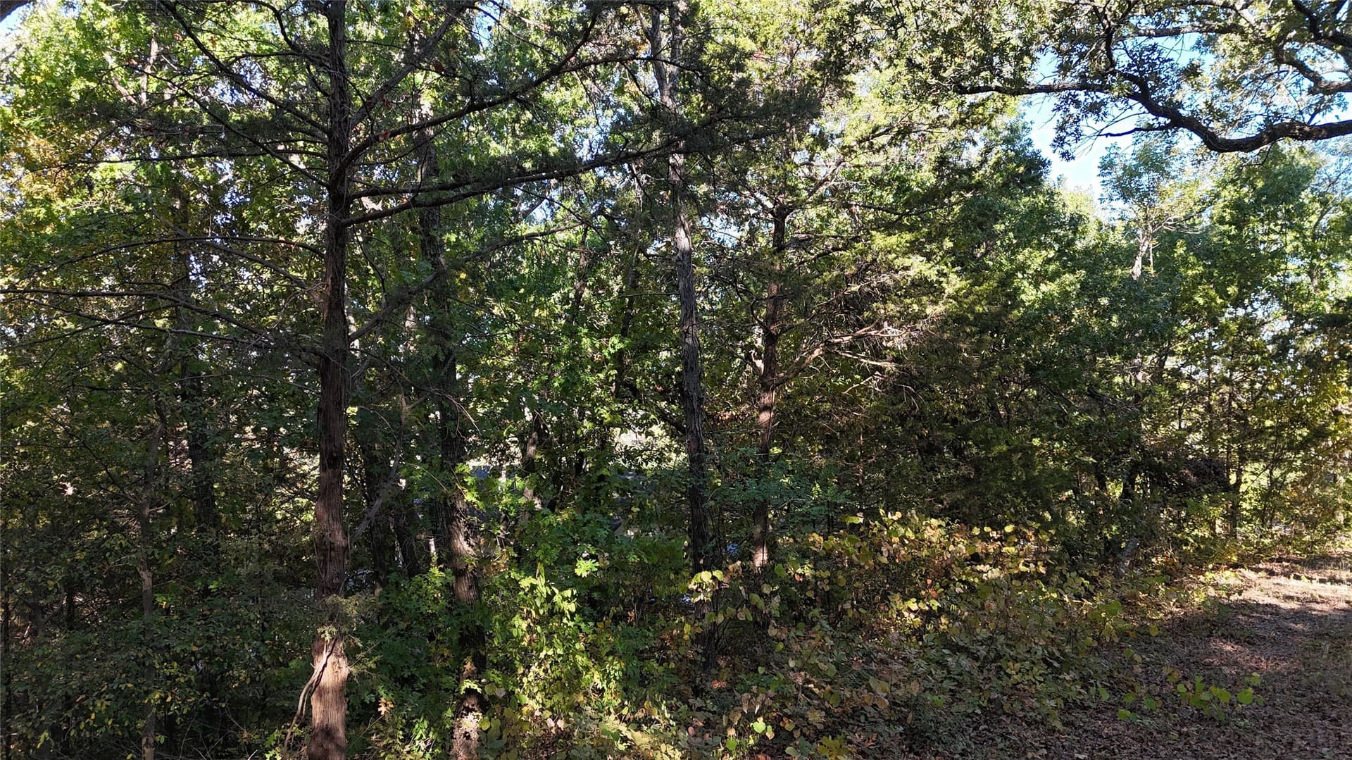 0.8 acres in Grayson County - photo 11