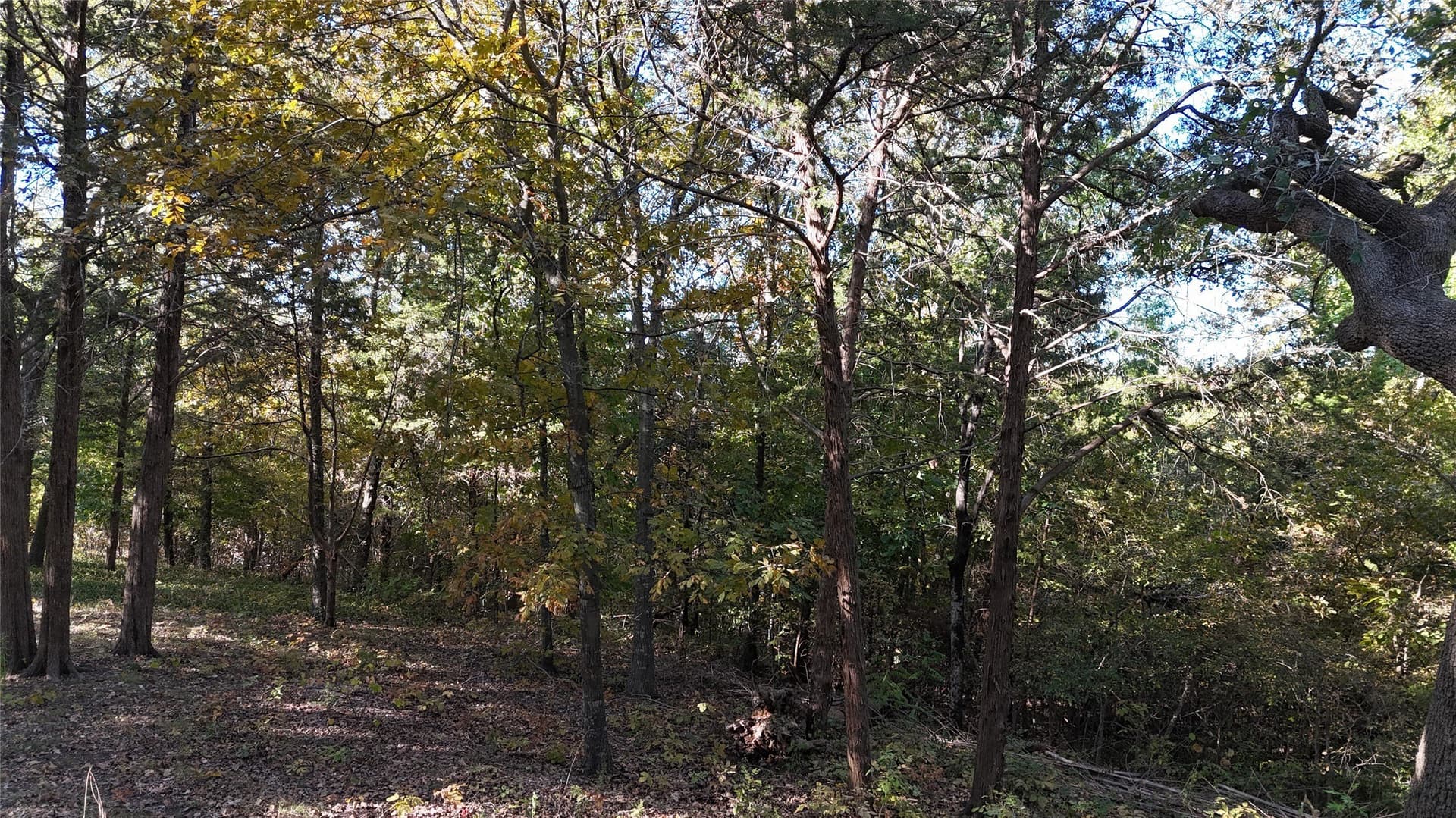 0.8 acres in Grayson County - photo 7