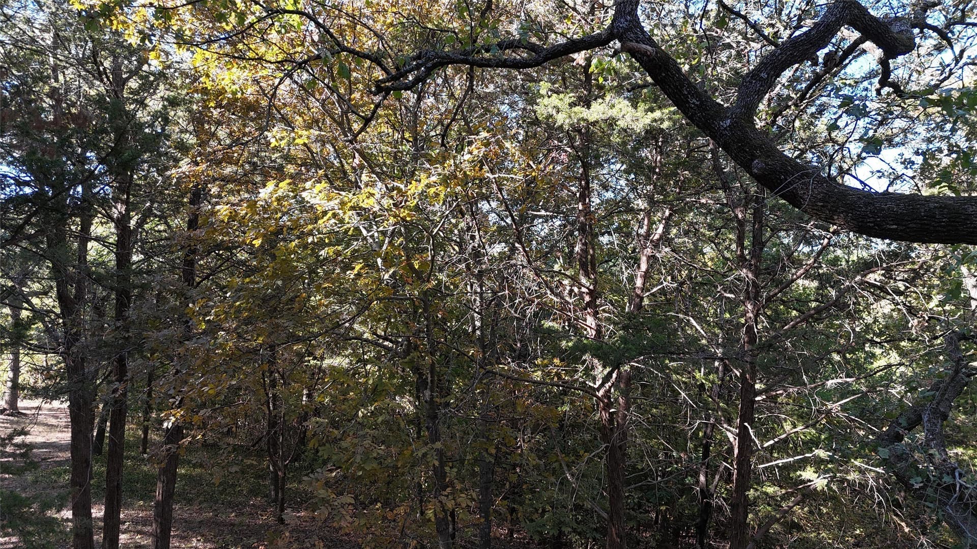 0.8 acres in Grayson County - photo 15