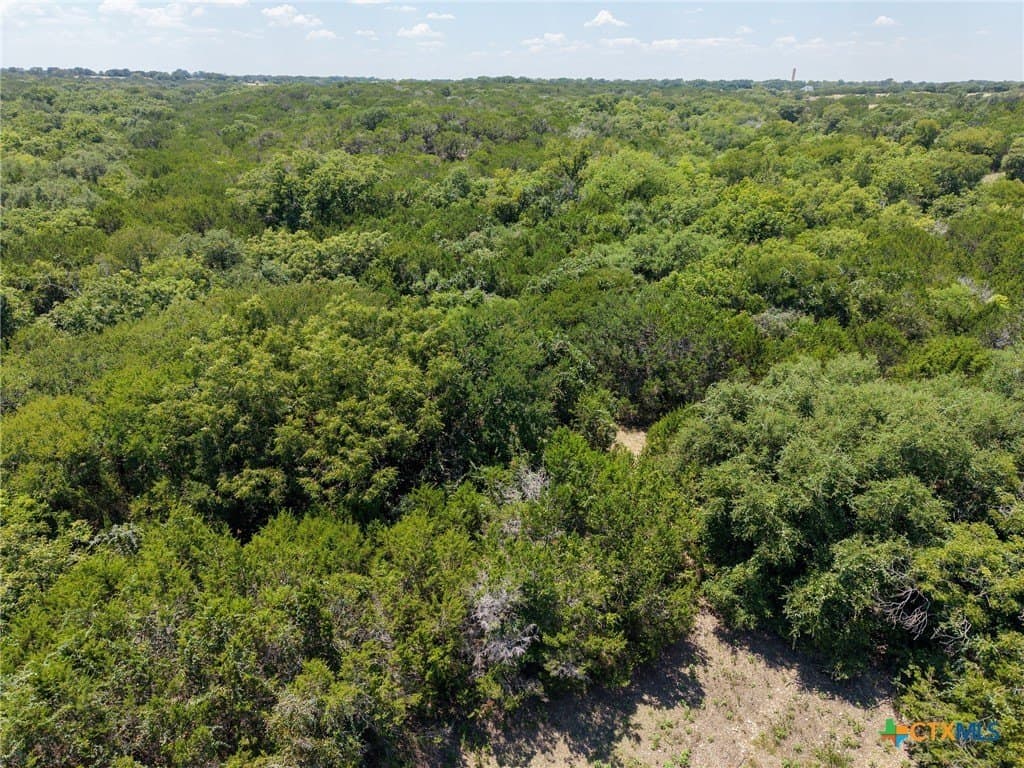 10 acres in Coryell County gallery image 4