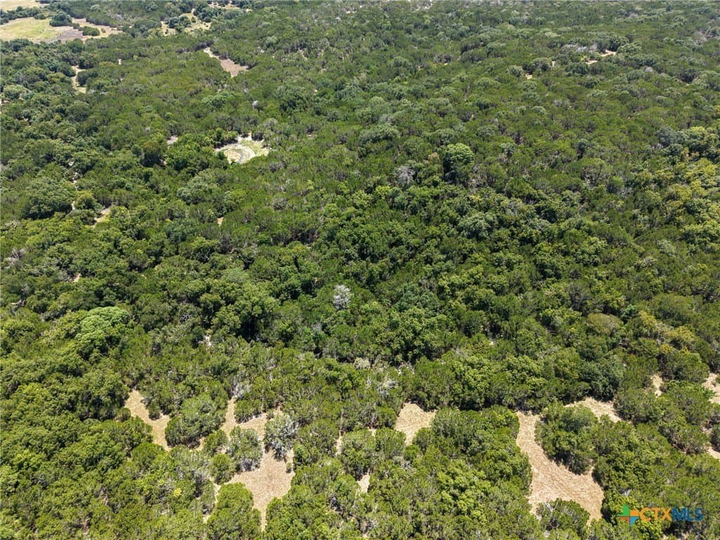 10 acres in Coryell County gallery image 3