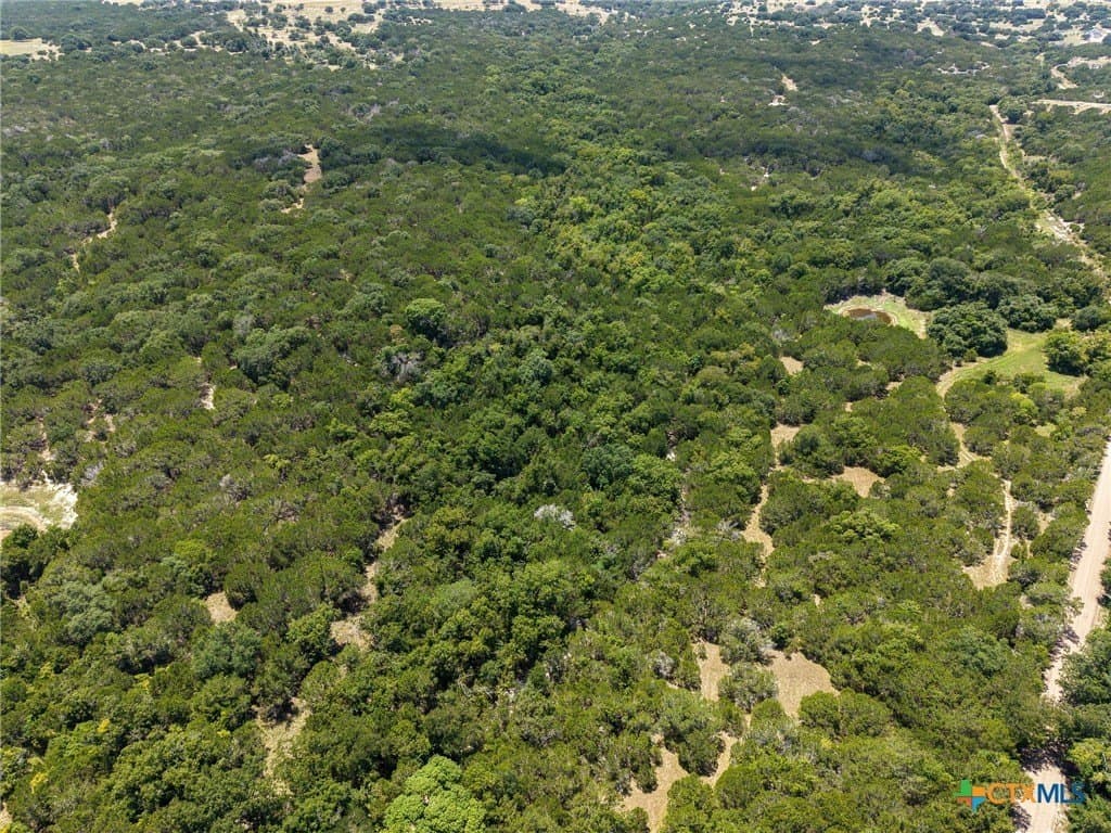 10 acres in Coryell County gallery image 2