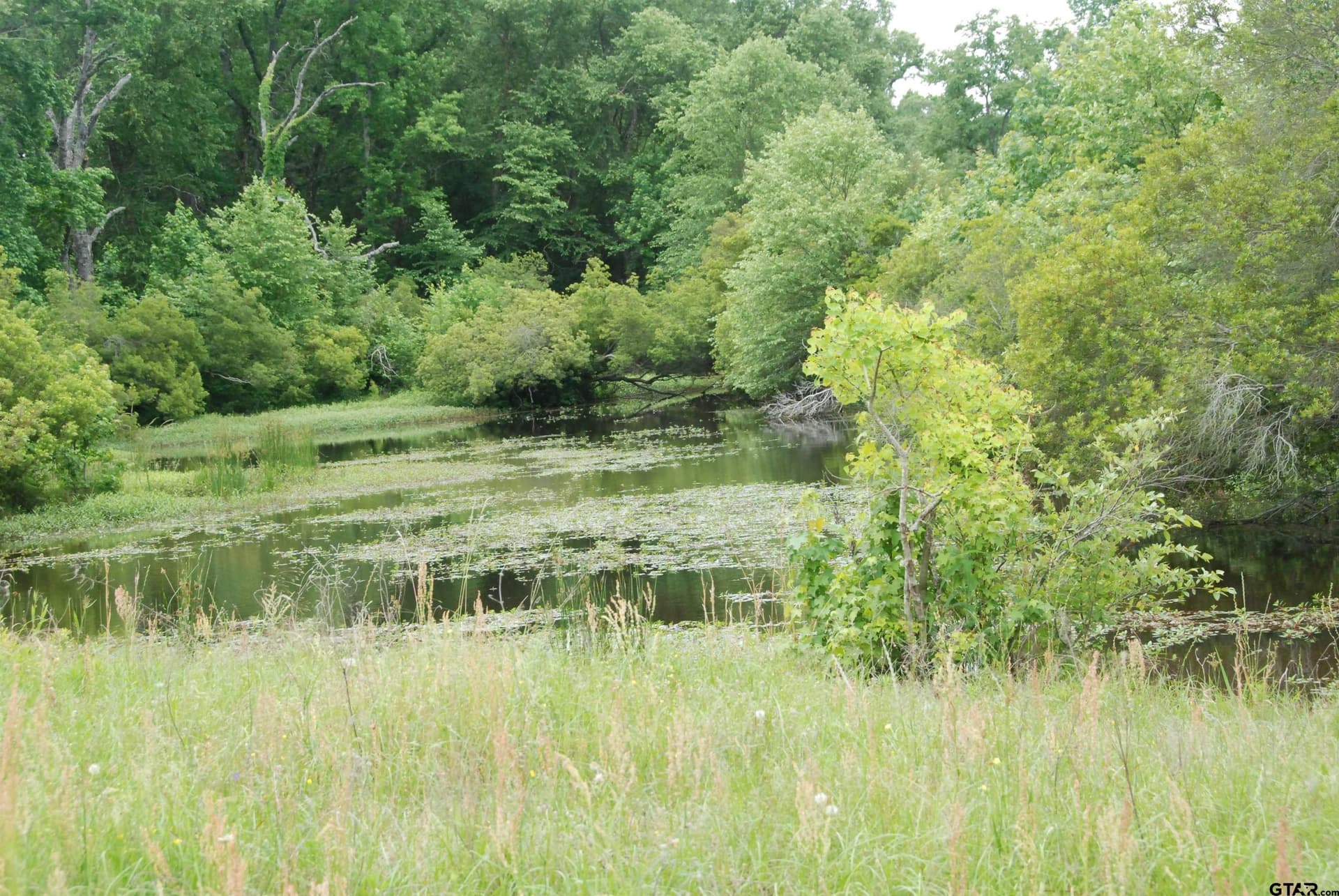 35.77 acres in Smith County gallery image 3