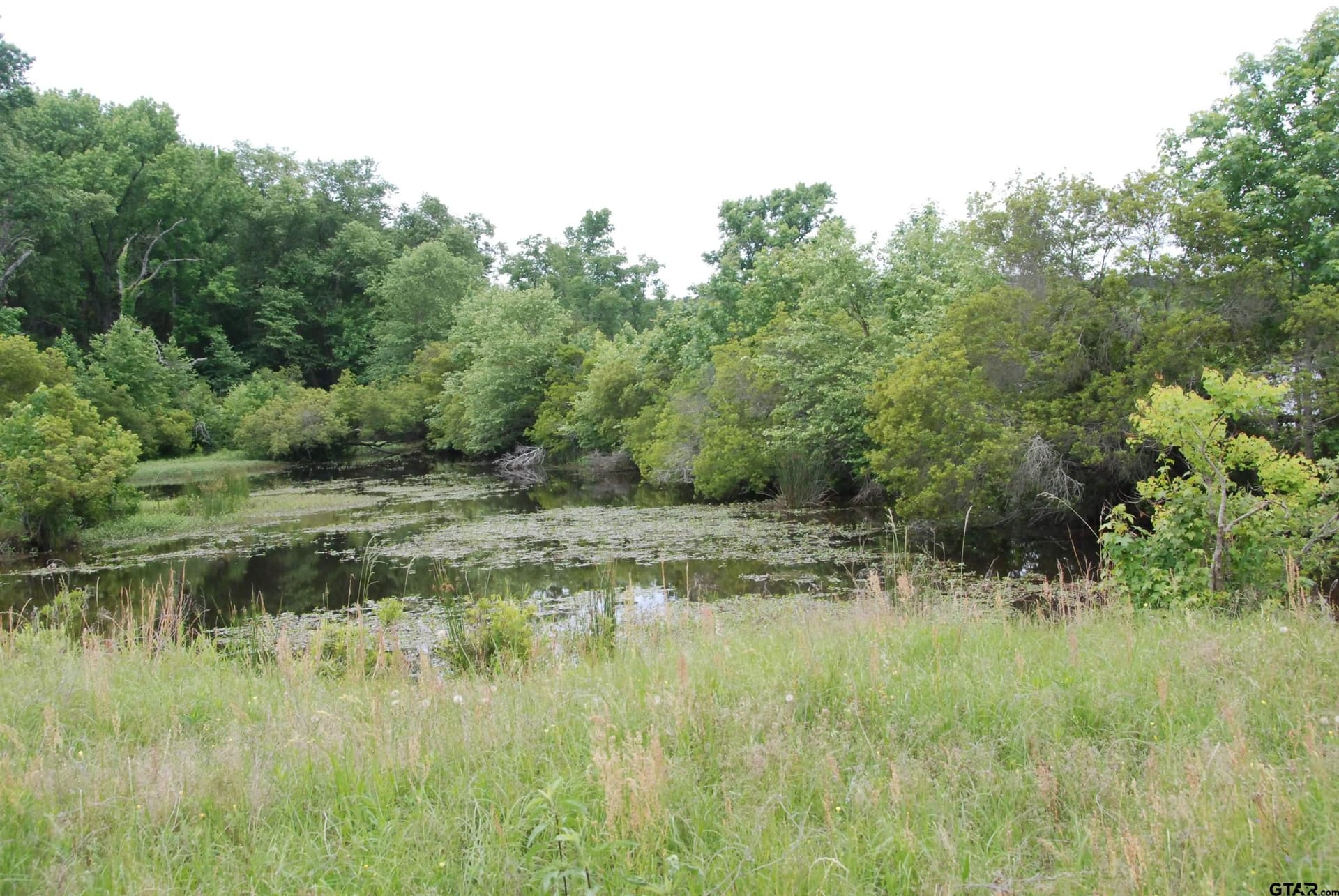 35.77 acres in Smith County gallery image 2
