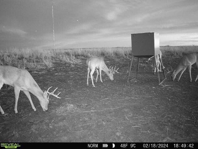 63.02 acres in Dickens County - photo 2