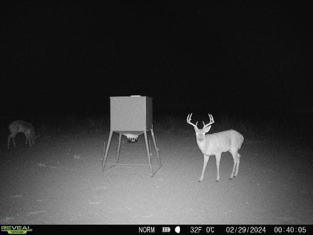 63.02 acres in Dickens County - photo 3