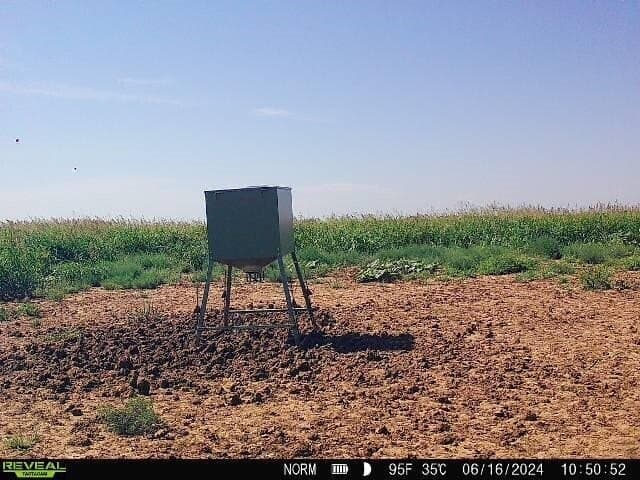 63.02 acres in Dickens County