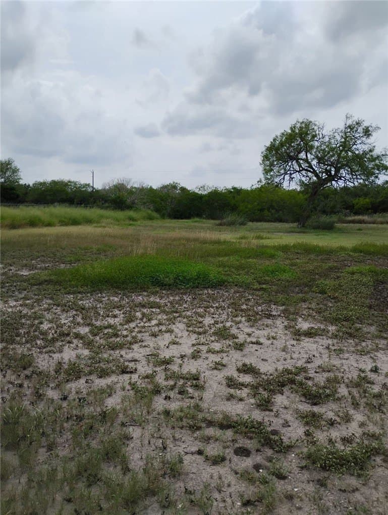 100,000 acres in Jim Wells County - photo 17