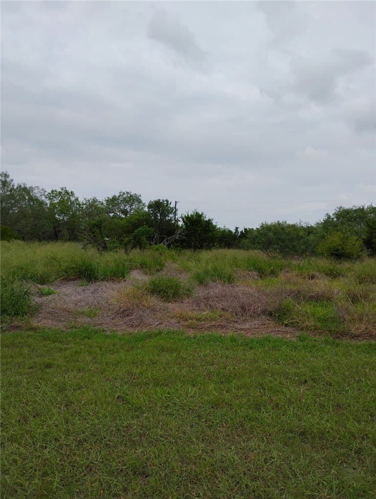 100,000 acres in Jim Wells County - photo 18