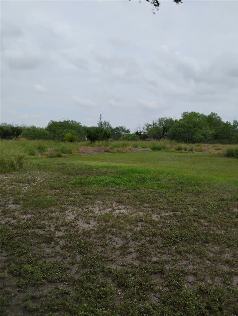 100,000 acres in Jim Wells County - photo 16