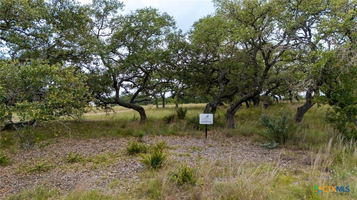 11 acres in Burnet County featured view