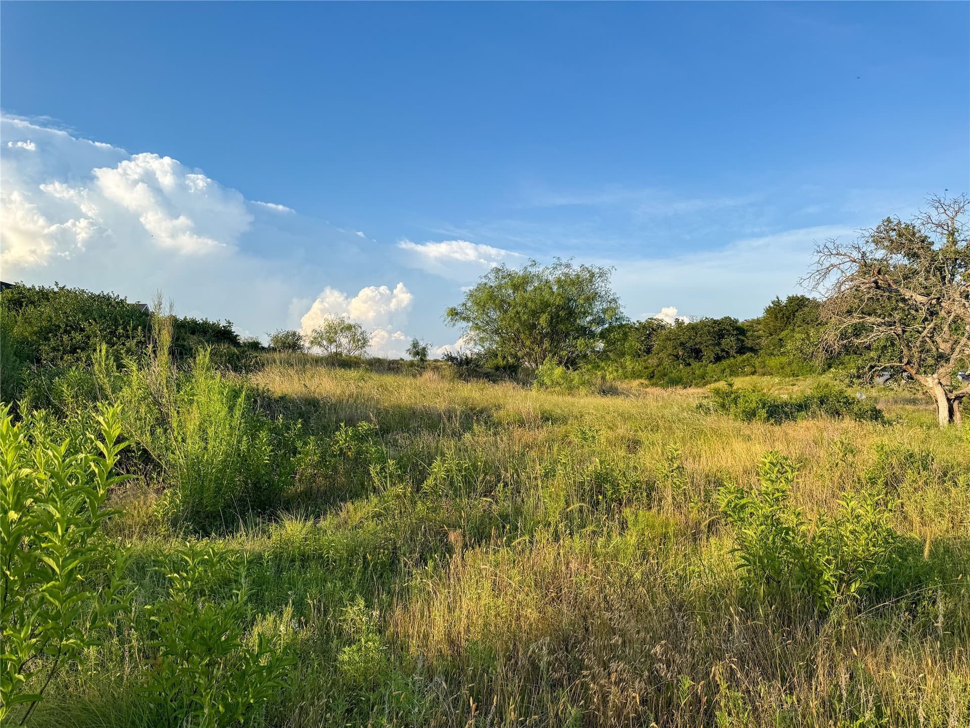 1.17 acres in Eastland County - photo 9