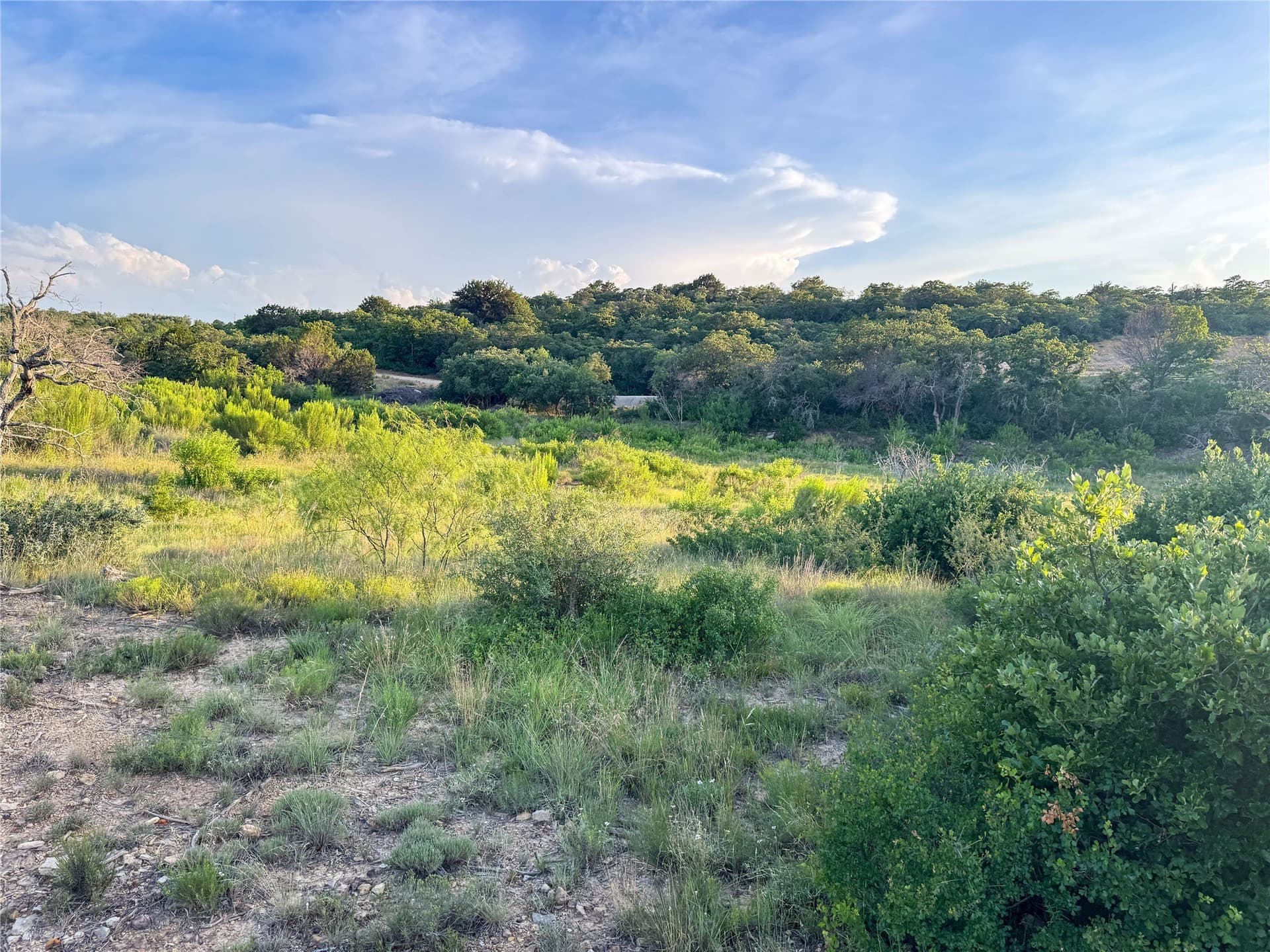 1.17 acres in Eastland County - photo 8