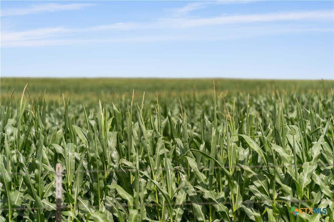 250 acres in Bell County