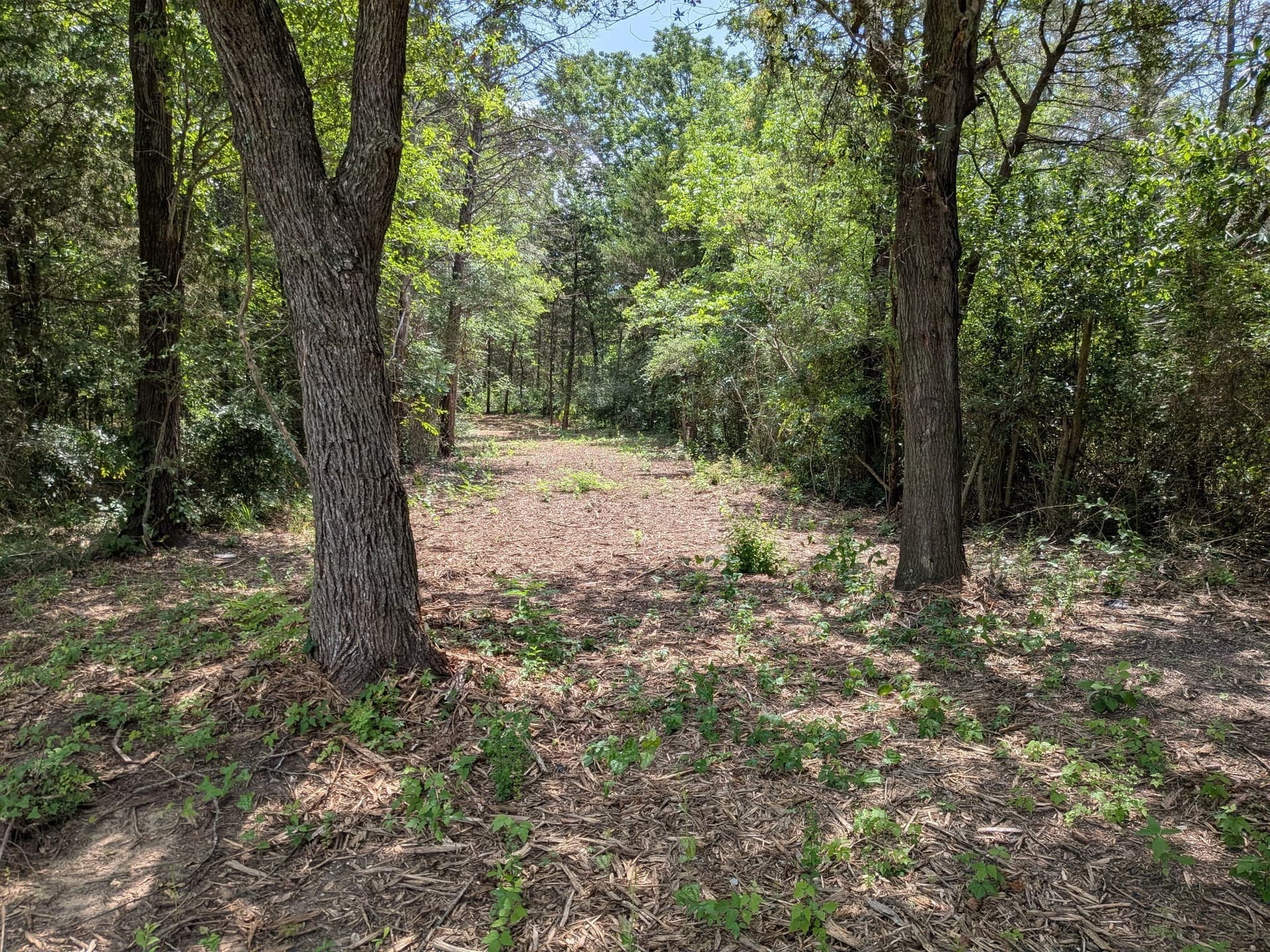 3.05 acres in Van Zandt County gallery image 4