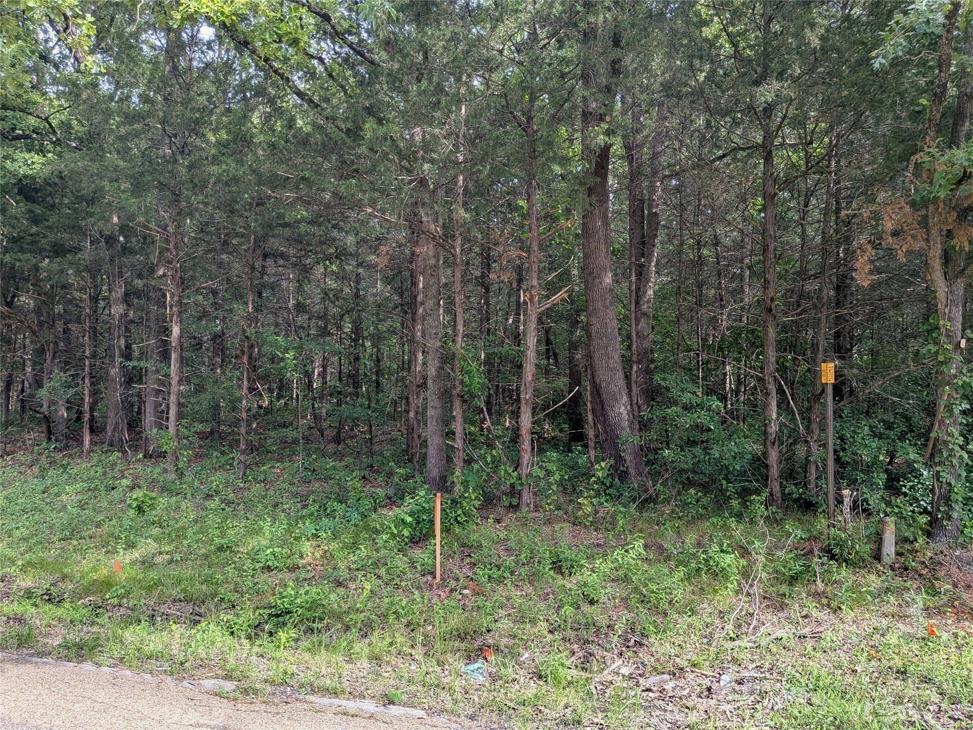 3.05 acres in Van Zandt County gallery image 3