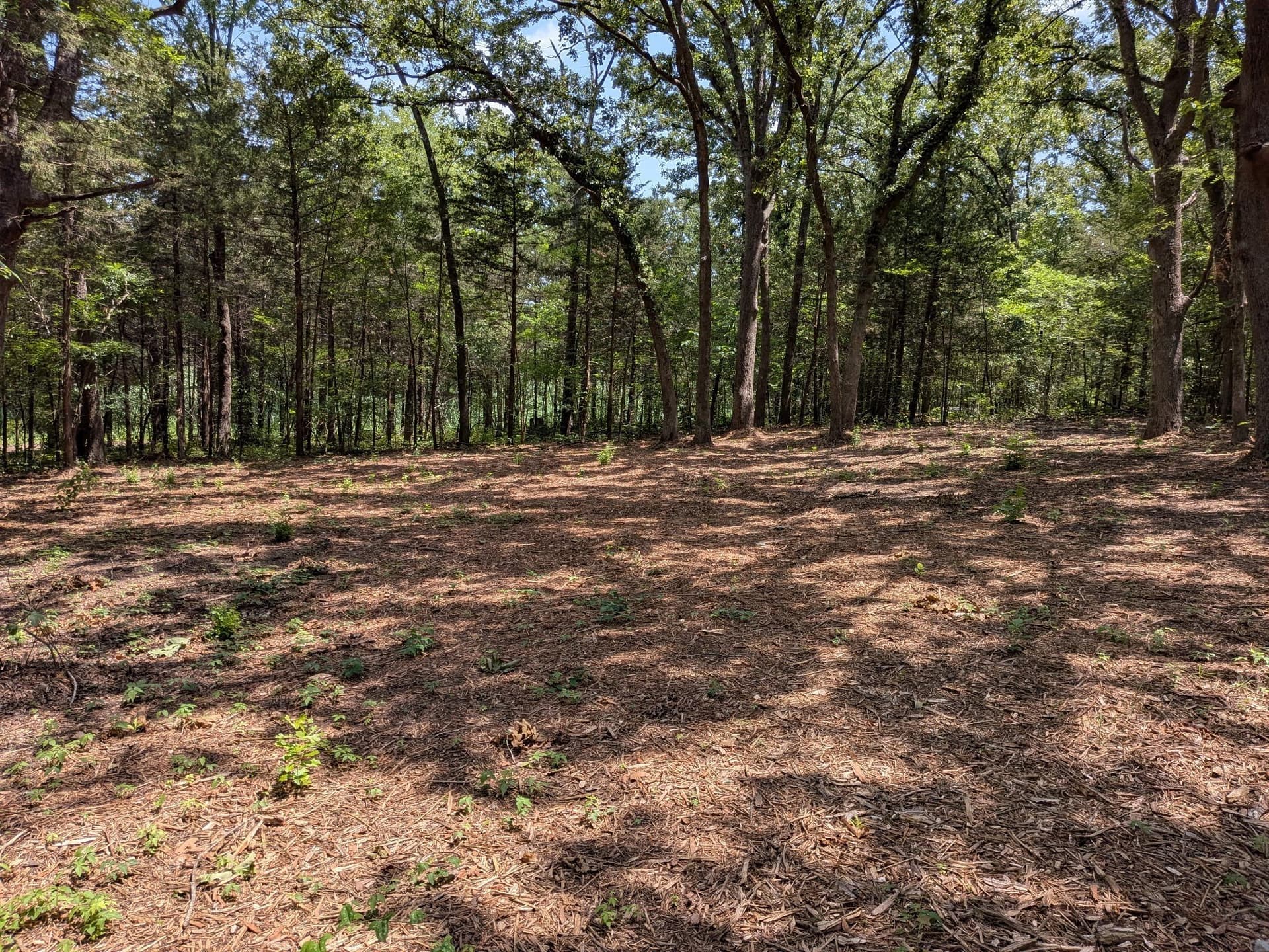 3.05 acres in Van Zandt County gallery image 3