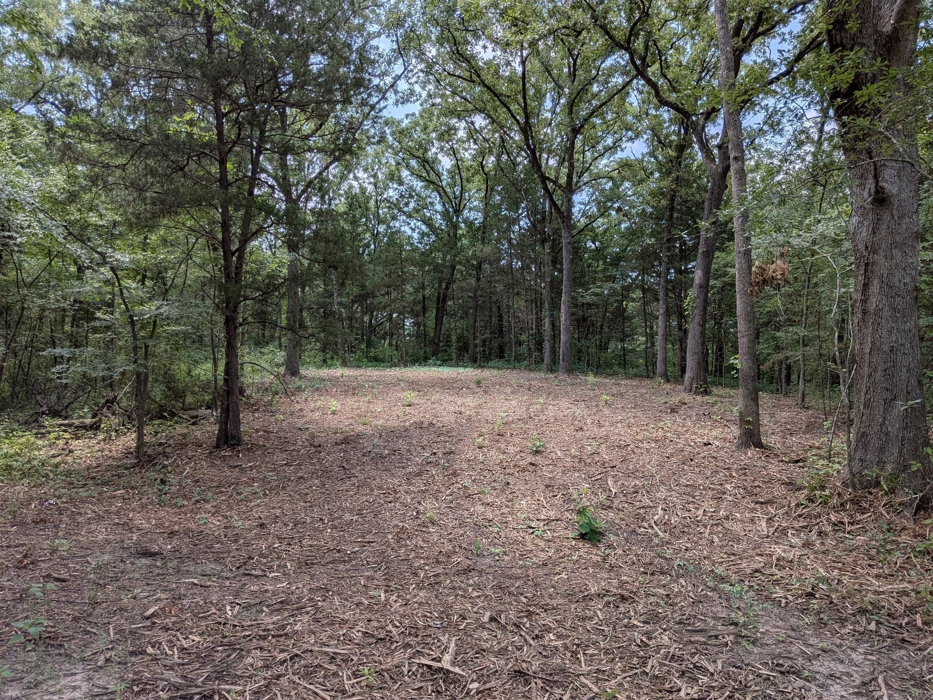 3.05 acres in Van Zandt County gallery image 2