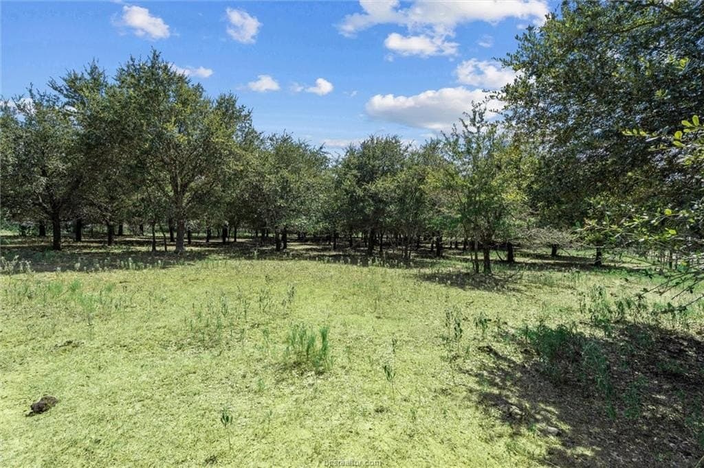 10.3 acres in Robertson County - photo 42
