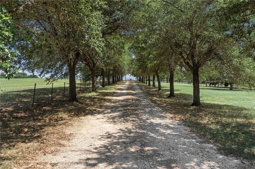 10.3 acres in Robertson County - photo 38