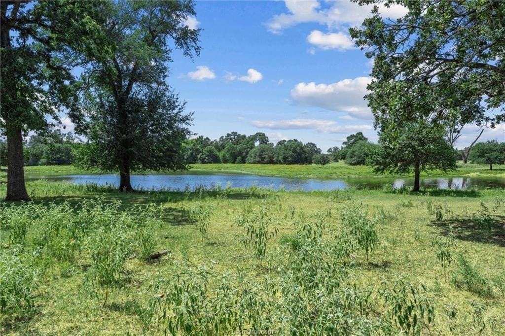 10.3 acres in Robertson County - photo 43
