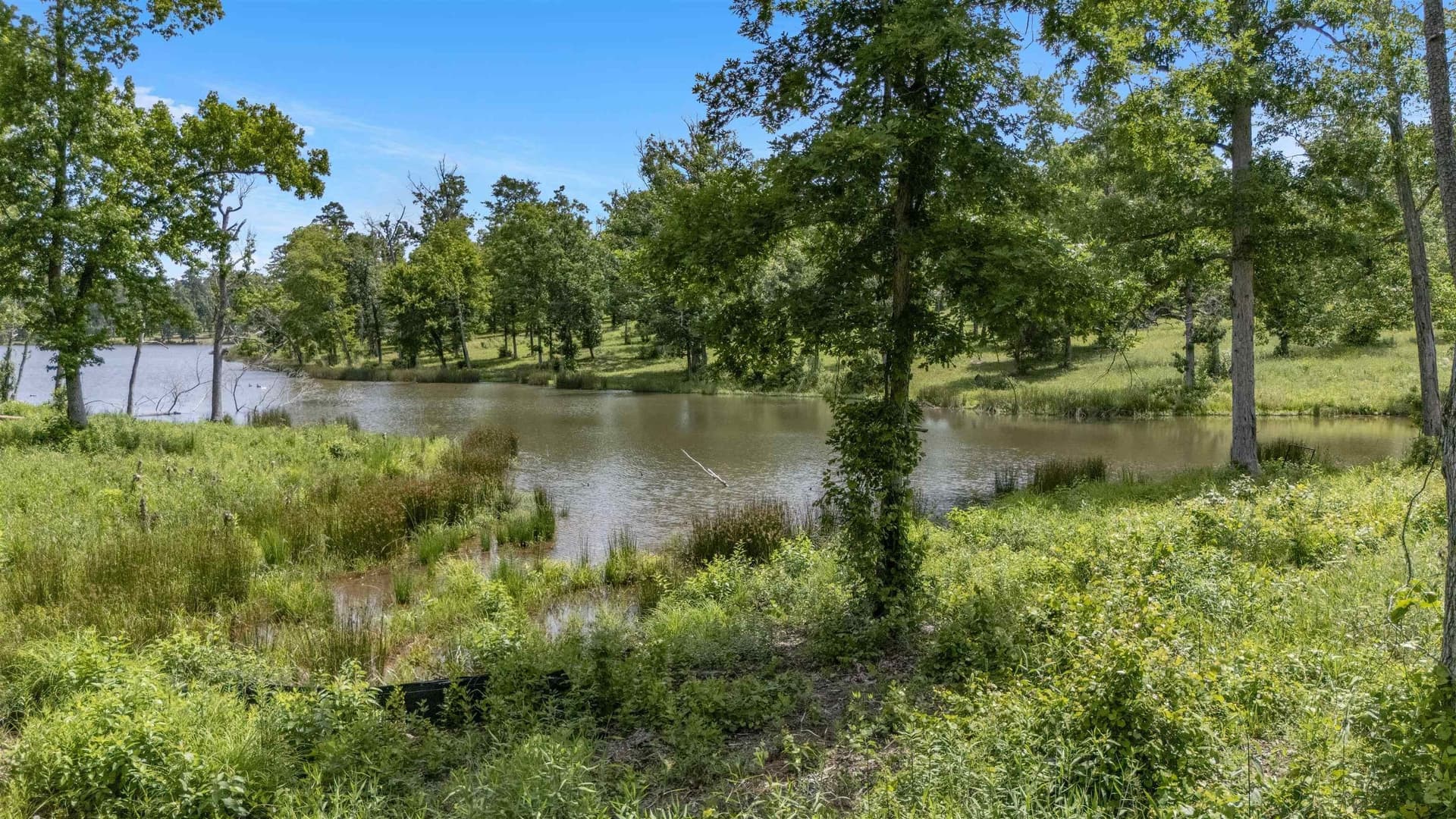 1.33 acres in Harrison County - photo 8